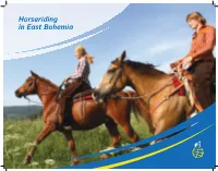 Horseriding in East Bohemia Tourist Information Centres (TIC) in the Pardubice REGION Tel