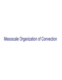 Mesoscale Organization of Convection