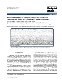 Molecular Phylogeny of the Opsariichthys