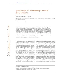 Specification of DNA Binding Activity of NF-Kb Proteins
