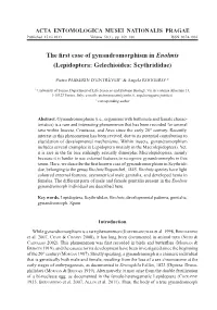 The First Case of Gynandromorphism in Enolmis