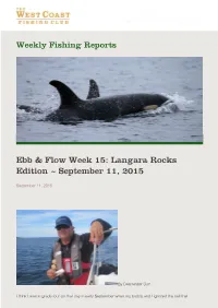 Ebb & Flow Week 15: Langara Rocks Edition ~ September 11, 2015