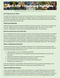 Mushroom Highlights Newsletter