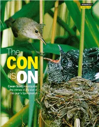 The Secret Crimes of the Cuckoo
