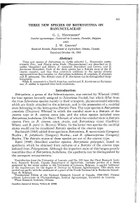Three New Species of B Otryotinia on Ranunculaceae1