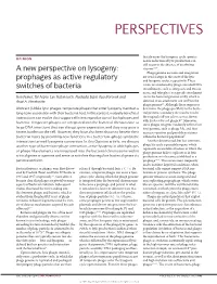 A New Perspective on Lysogeny: Prophages As Active Regulatory