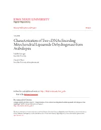 Characterization of Two Cdnas Encoding Mitochondrial Lipoamide Dehydrogenase from Arabidopsis Isabelle Lutziger Iowa State University