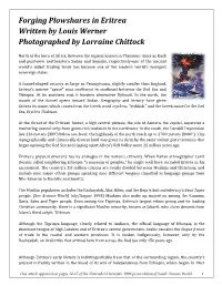 Forging Plowshares in Eritrea Written by Louis Werner Photographed by Lorraine Chittock