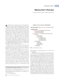 Memory Part 1: Overview