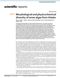 Morphological and Physicochemical Diversity of Snow Algae from Alaska Marta J