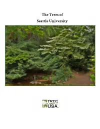 ​ the Trees of Seattle University