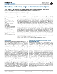 Hypothesis on the Dual Origin of the Mammalian Subplate