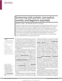 Swimming with Protists: Perception, Motility and Flagellum Assembly