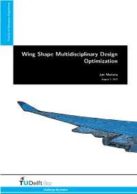 Wing Shape Multidisciplinary Design Optimization