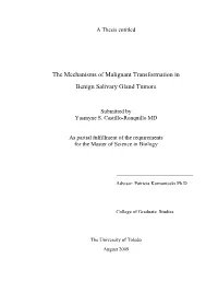 A Thesis Entitled