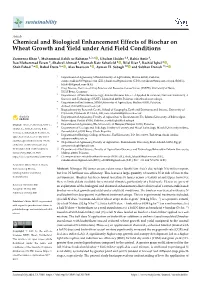 Chemical and Biological Enhancement Effects of Biochar on Wheat Growth and Yield Under Arid Field Conditions