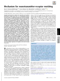 Mechanism for Neurotransmitter-Receptor Matching