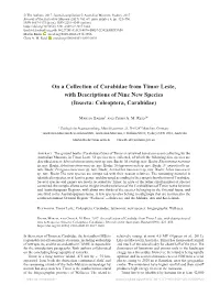 On a Collection of Carabidae from Timor Leste, with Descriptions of Nine New Species (Insecta: Coleoptera, Carabidae)