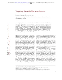 Targeting Ras with Macromolecules
