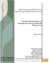 Cost-Benefit Evaluation of Underground Versus Overhead Power Lines
