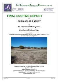 FINAL SCOPING REPORT for OLIEN SOLAR ENERGY