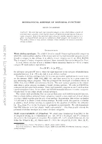 Homological Kernels of Monoidal Functors