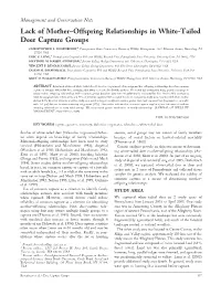 Lack of Mother-Offspring Relationship in White-Tailed Deer Capture Groups