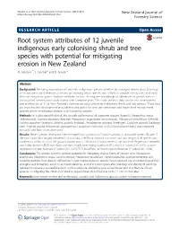 Root System Attributes of 12 Juvenile Indigenous Early Colonising Shrub and Tree Species with Potential for Mitigating Erosion in New Zealand M