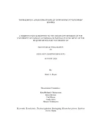 Thermoregulation Strategies of Deep Diving Ectothermic Sharks