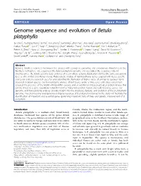 Genome Sequence and Evolution of Betula Platyphylla
