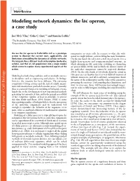 Modeling Network Dynamics: the Lac Operon, a Case Study