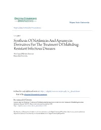 Synthesis of Netilmicin and Apramycin Derivatives for the Rt Eatment of Multidrug- Resistant Infectious Diseases Amr Sayed Motawi Sonousi Wayne State University