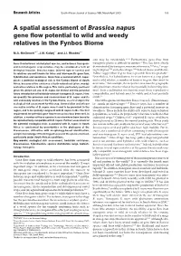 A Spatial Assessment of Brassica Napus Gene Flow Potential to Wild and Weedy Relatives in the Fynbos Biome