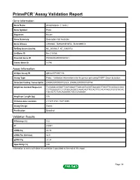 Primepcr™Assay Validation Report