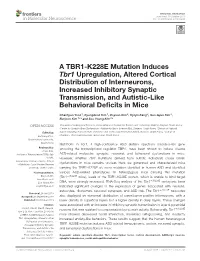 A TBR1-K228E Mutation Induces Tbr1 Upregulation, Altered Cortical