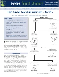 High Tunnel Pest Management - Aphids