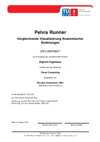 Master Thesis