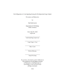 Duke University Dissertation Template