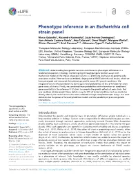 Phenotype Inference in an Escherichia Coli Strain Panel