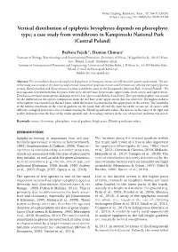 Vertical Distribution of Epiphytic Bryophytes Depends on Phorophyte Type; a Case Study from Windthrows in Kampinoski National Park (Central Poland)