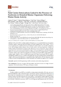 Fatal Canine Intoxications Linked to the Presence of Saxitoxins in Stranded Marine Organisms Following Winter Storm Activity