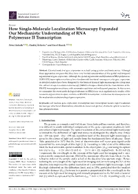 How Single-Molecule Localization Microscopy Expandedour