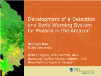 Development of a Detection and Early Warning System for Malaria in the Amazon