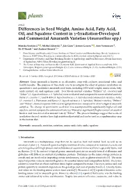 Differences in Seed Weight, Amino Acid, Fatty Acid, Oil, and Squalene Content in Γ-Irradiation-Developed and Commercial Amaranth Varieties (Amaranthus Spp.)