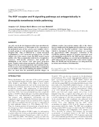 EGFR in Sense Organ Determination 301 Completed Development at 18°C, the Presence of All Notum Raf (UAS-Rafdn2.1)