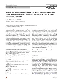 Morphological and Molecular Phylogeny of Bitis (Reptilia: Squamata: Viperidae)