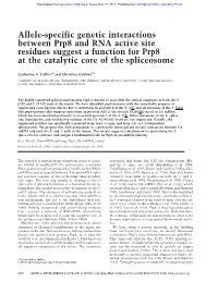 Allele-Specific Genetic Interactions Between Prp8 and RNA Active Site Residues Suggest a Function for Prp8 at the Catalytic Core of the Spliceosome
