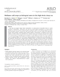 Methane Cold Seeps As Biological Oases in the High&#8208
