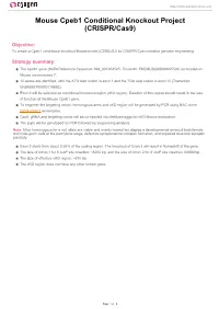 Mouse Cpeb1 Conditional Knockout Project (CRISPR/Cas9)