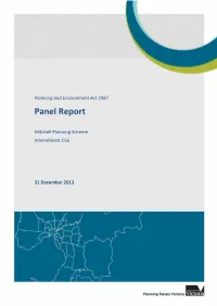 Panel Report